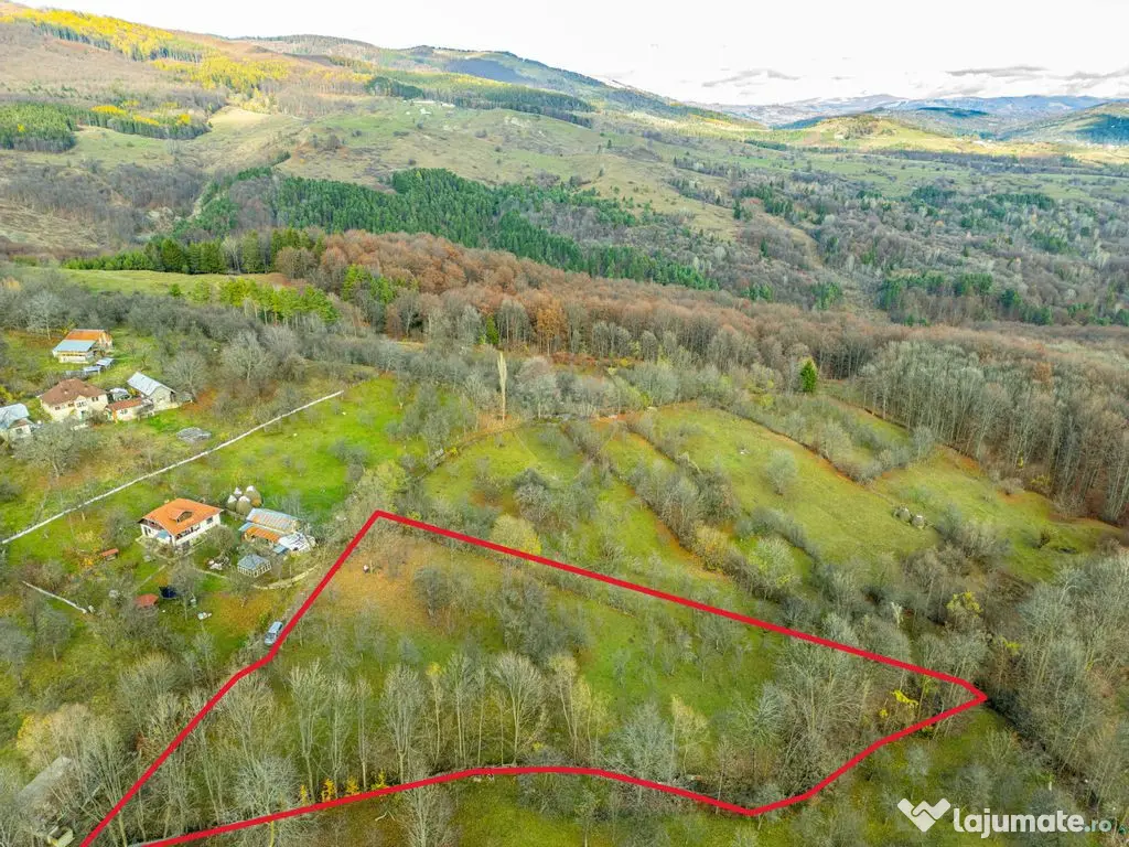 Teren intravilan 4384 mp – Comuna Talea, județul Prahova