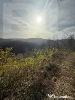 Teren extravilan impadurit, 8271 mp ideal pentru investitie.