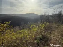 Teren extravilan impadurit, 8271 mp ideal pentru investitie.