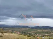 TEREN | 9341 MP | BALNACA GROSI | BIHOR 