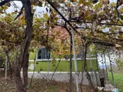 TEREN | 9341 MP | BALNACA GROSI | BIHOR 