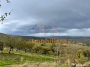 TEREN | 9341 MP | BALNACA GROSI | BIHOR 