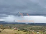 TEREN | 9341 MP | BALNACA GROSI | BIHOR 