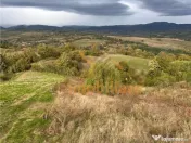 TEREN | 9341 MP | BALNACA GROSI | BIHOR 