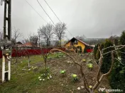 Casa de vanzare in Gheorghe Doja Bacau 