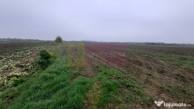 Teren Investiție aproape de București