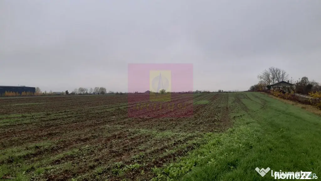 Teren Investiție aproape de București - 1 Decembrie (Bucuresti-Ilfov)