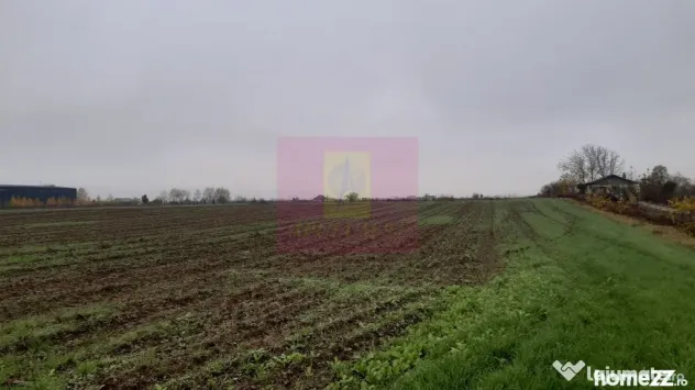 Teren Investiție aproape de București - 1 Decembrie (Bucuresti-Ilfov)