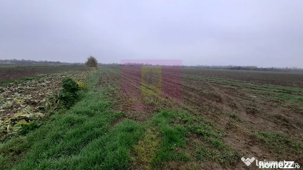 Teren Investiție aproape de București - 1 Decembrie (Bucuresti-Ilfov)