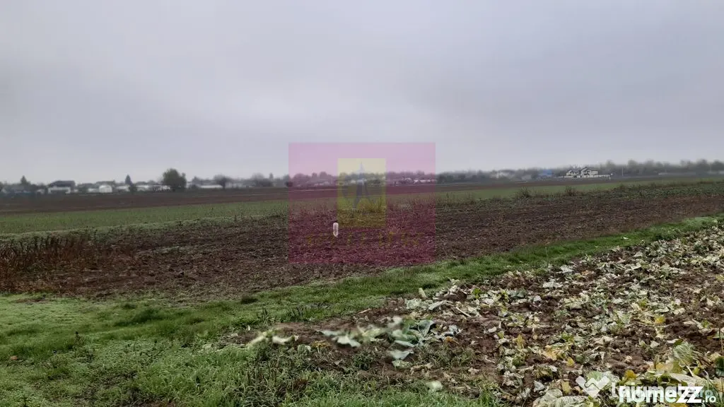 Teren Investiție aproape de București - 1 Decembrie (Bucuresti-Ilfov)
