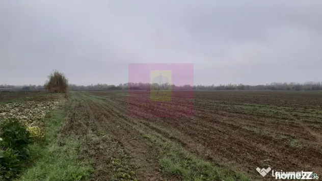 Teren Investiție aproape de București - 1 Decembrie (Bucuresti-Ilfov)