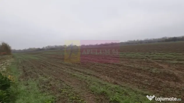 Teren Investiție aproape de București