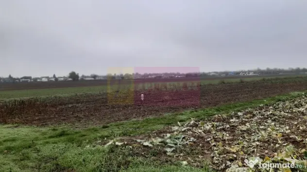 Teren Investiție aproape de București