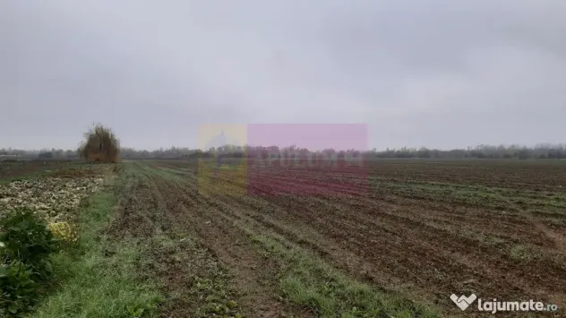 Teren Investiție aproape de București