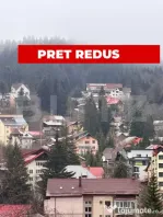 Vilă spațioasă de vânzare –PRET REDUS in PREDEAL,veder