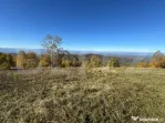 Teren extravilan 6.360 mp in Târsa