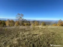 Teren extravilan 6.360 mp in Târsa