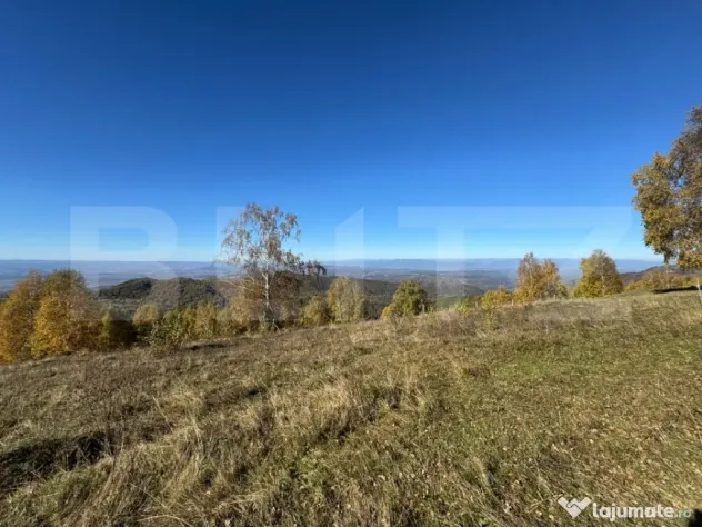 Teren extravilan 6.360 mp in Târsa