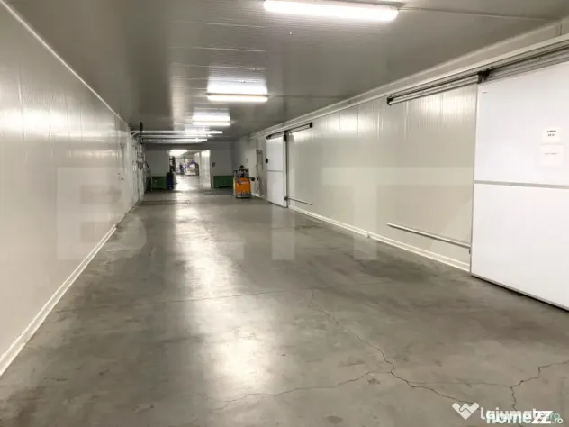 Depozit Frigorific și Hală Producție, Oradea, 6200mp