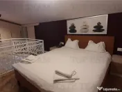 2 camere cu Terasa de 100 mp , Duplex Exclusivist - Lux la 