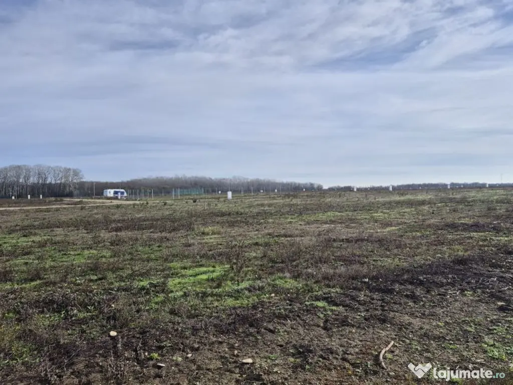 Loturi de teren 638 mp - curent tras la teren - Crevedia