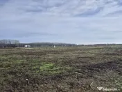 Loturi de teren 638 mp - curent tras la teren - Crevedia 