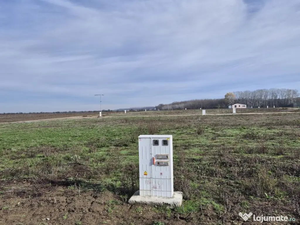 Loturi de teren 638 mp - curent tras la teren - Crevedia