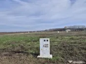 Loturi de teren 638 mp - curent tras la teren - Crevedia 