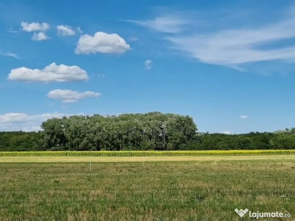 Loturi de teren 638 mp - curent tras la teren - Crevedia