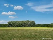 Loturi de teren 638 mp - curent tras la teren - Crevedia 