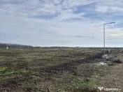 Loturi de teren 638 mp - curent tras la teren - Crevedia 