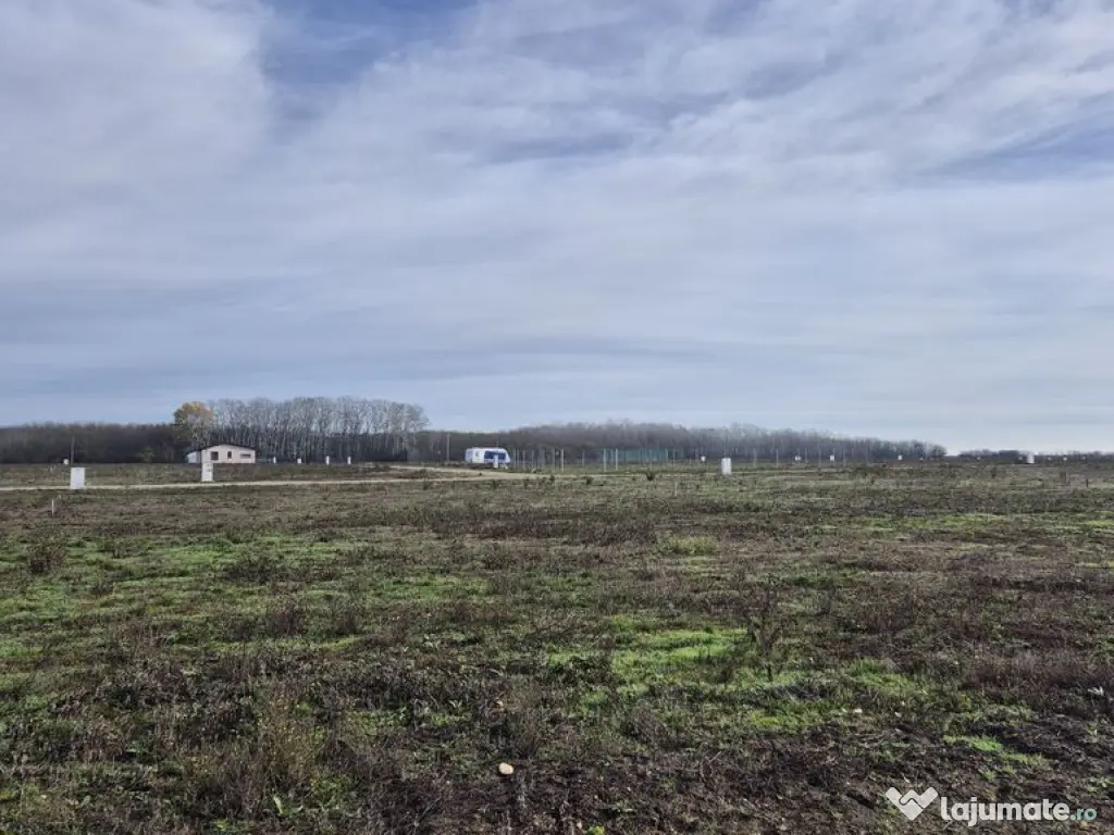 Loturi de teren 638 mp - curent tras la teren - Crevedia