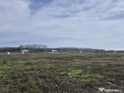 Loturi de teren 638 mp - curent tras la teren - Crevedia 