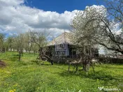 Teren, 48 ari, , cu casa batraneasca, Antoceni, Forasti, Suc 