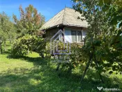 Teren, 48 ari, , cu casa batraneasca, Antoceni, Forasti, Suc 