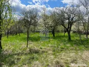 Teren, 48 ari, , cu casa batraneasca, Antoceni, Forasti, Suc 