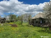 Teren, 48 ari, , cu casa batraneasca, Antoceni, Forasti, Suc 