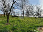 Teren, 48 ari, , cu casa batraneasca, Antoceni, Forasti, Suc 