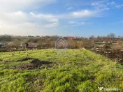 Teren, 48 ari, , cu casa batraneasca, Antoceni, Forasti, Suc 