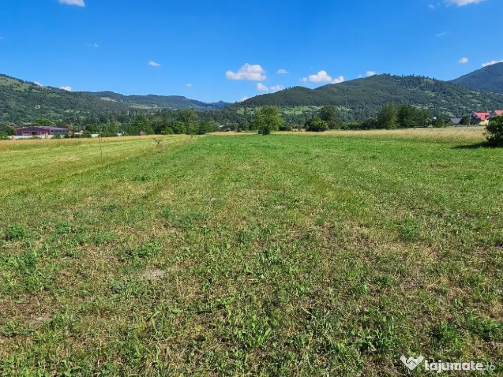 Teren intravilan Pangarati, 4400 mp