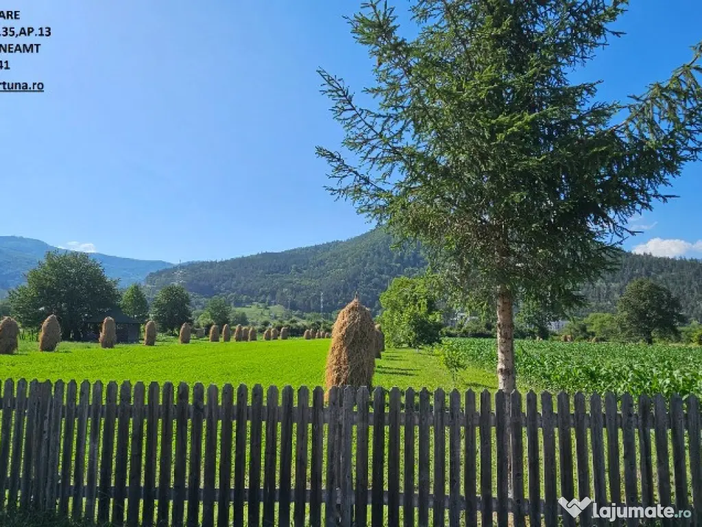 Teren intravilan Pangarati, 4400 mp