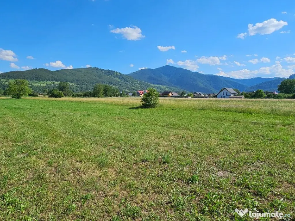 Teren intravilan Pangarati, 4400 mp