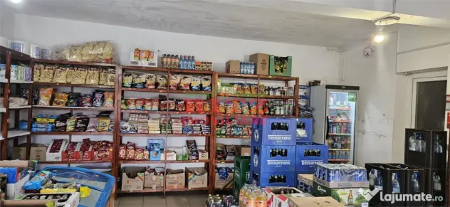 CASA DE VANZARE P 1 E