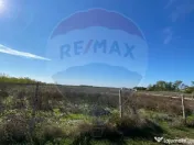 Teren 2,500mp Malu Mare / Strada Bisericii 