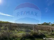 Teren 2,500mp Malu Mare / Strada Bisericii 