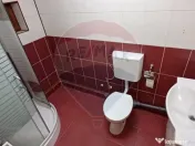 DE INCHIRIAT: Casă / Vilă P+1 - Zona Centrala BAIA MARE 