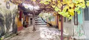 Casa renovata zona tei, locuinta sau investitie. comision z 