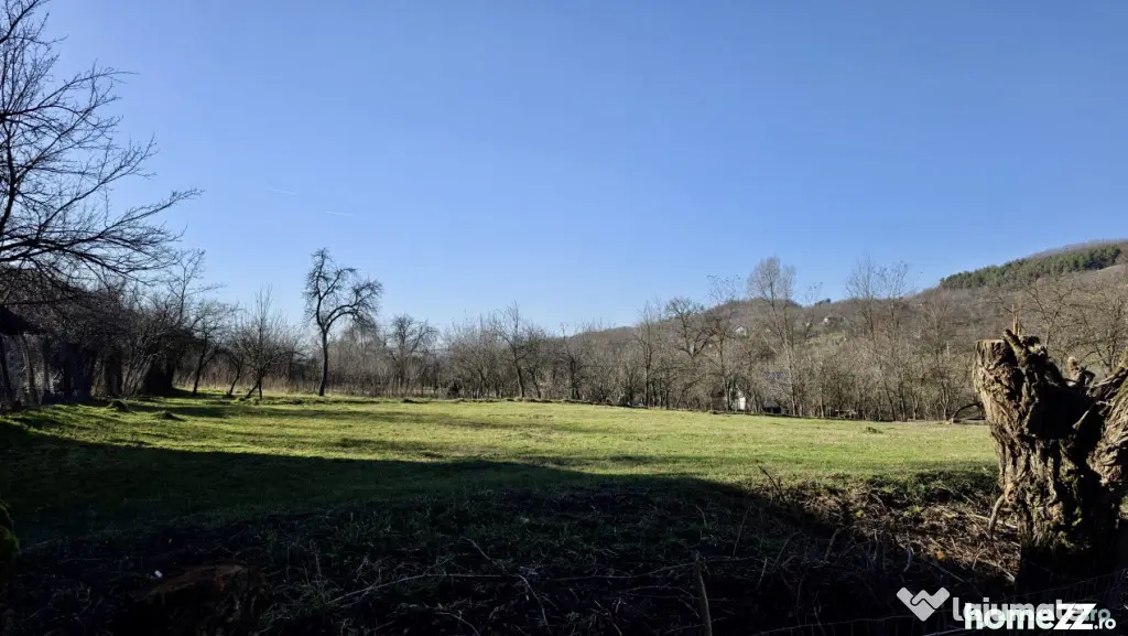 Teren 4.549 mp intravilan, cu posibilitate de parcelare. - Gura Vitioarei (Prahova)