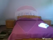 Vanzare 3 case de vacanta si 15750 mp teren, Botiza, Mara... 