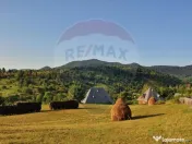 Vanzare 3 case de vacanta si 15750 mp teren, Botiza, Mara... 